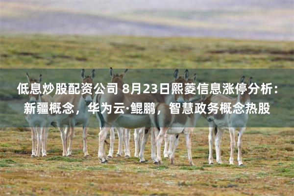 低息炒股配资公司 8月23日熙菱信息涨停分析：新疆概念，华为