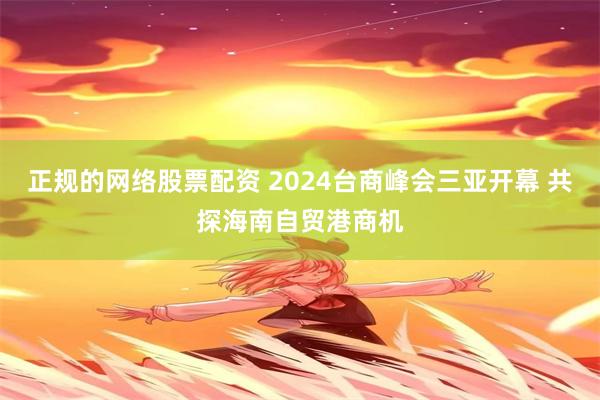 正规的网络股票配资 2024台商峰会三亚开幕 共探海南自贸港