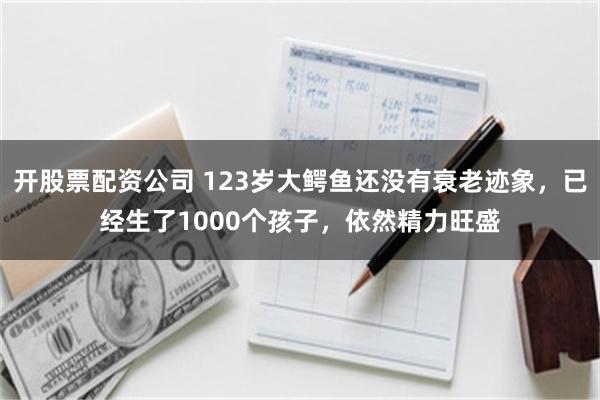 开股票配资公司 123岁大鳄鱼还没有衰老迹象，已经生了100