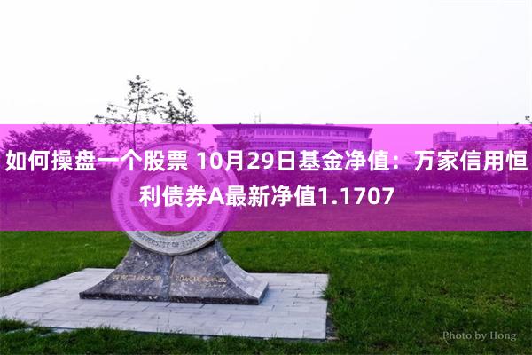 如何操盘一个股票 10月29日基金净值：万家信用恒利债券A最