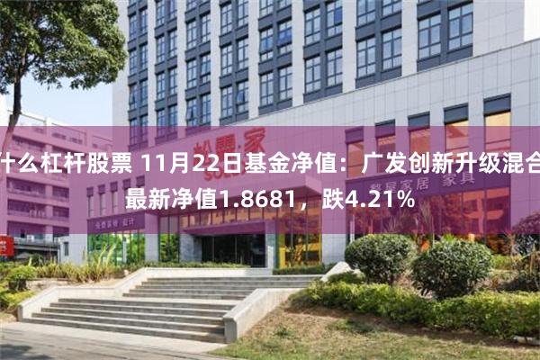 什么杠杆股票 11月22日基金净值：广发创新升级混合最新净值