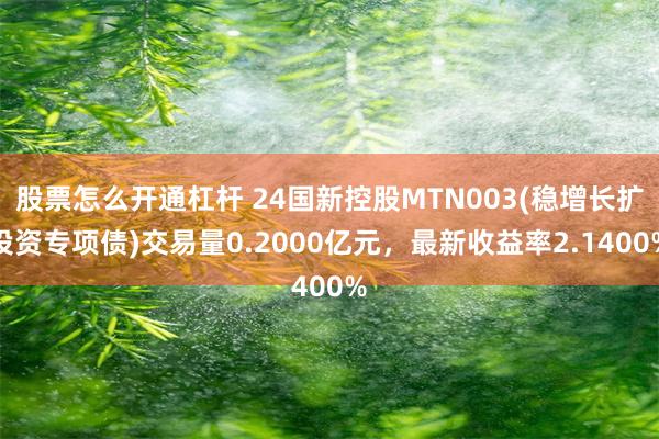 股票怎么开通杠杆 24国新控股MTN003(稳增长扩投资专项