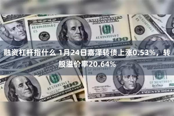 融资杠杆指什么 1月24日嘉泽转债上涨0.53%，转股溢价率