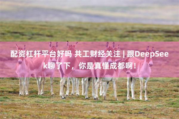 配资杠杆平台好吗 共工财经关注 | 跟DeepSeek聊了下