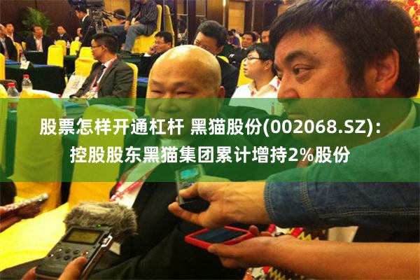 股票怎样开通杠杆 黑猫股份(002068.SZ)：控股股东黑